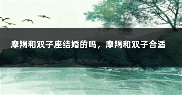 摩羯和双子座结婚的吗，摩羯和双子合适