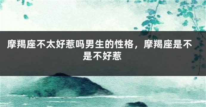 摩羯座不太好惹吗男生的性格，摩羯座是不是不好惹