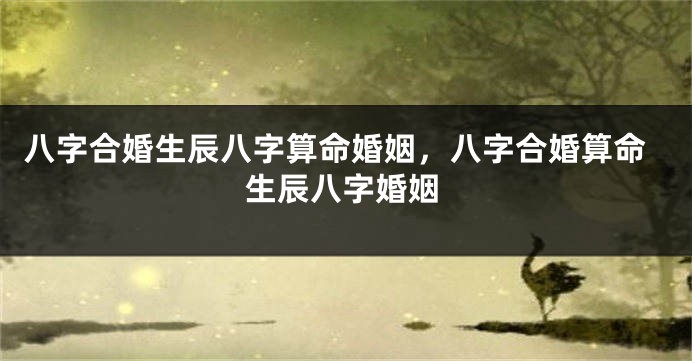 八字合婚生辰八字算命婚姻，八字合婚算命生辰八字婚姻