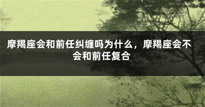 摩羯座会和前任纠缠吗为什么，摩羯座会不会和前任复合