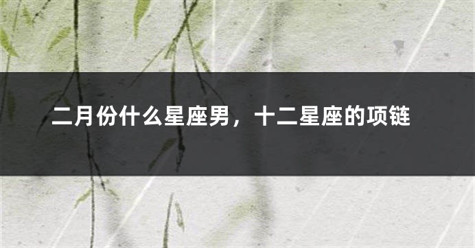 二月份什么星座男，十二星座的项链