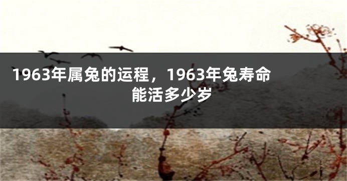 1963年属兔的运程，1963年兔寿命能活多少岁