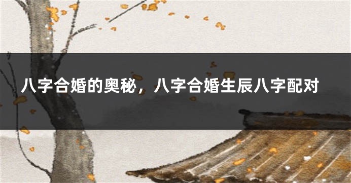 八字合婚的奥秘，八字合婚生辰八字配对