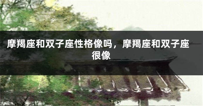 摩羯座和双子座性格像吗，摩羯座和双子座很像