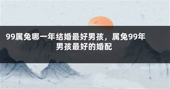 99属兔哪一年结婚最好男孩，属兔99年男孩最好的婚配