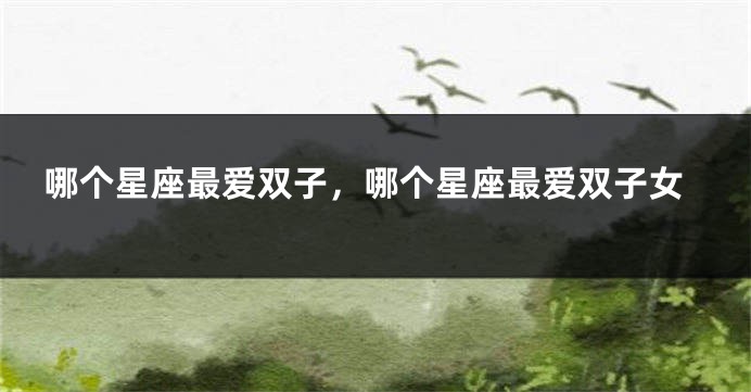 哪个星座最爱双子，哪个星座最爱双子女