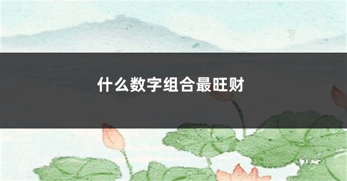 什么数字组合最旺财