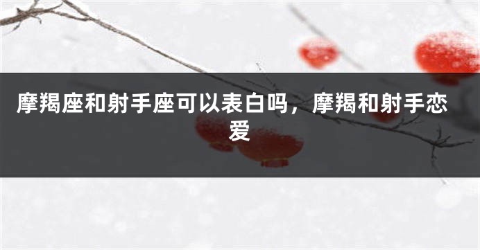 摩羯座和射手座可以表白吗，摩羯和射手恋爱