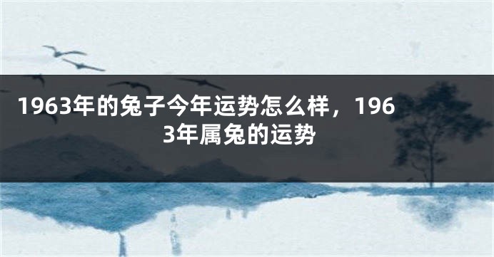 1963年的兔子今年运势怎么样，1963年属兔的运势