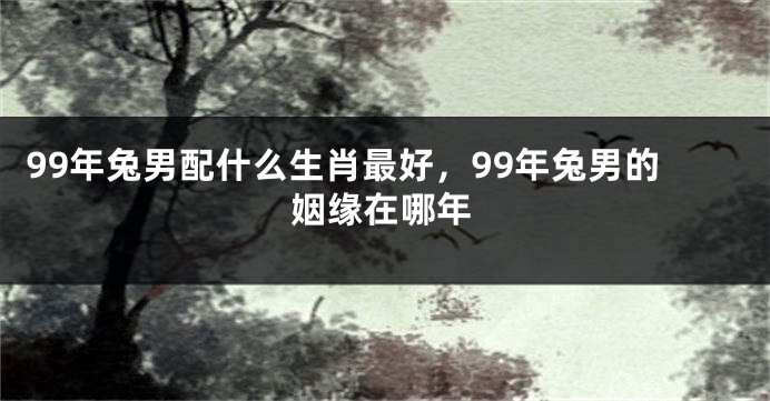 99年兔男配什么生肖最好，99年兔男的姻缘在哪年