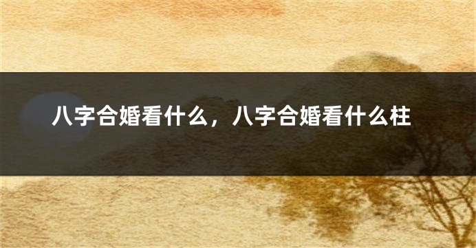 八字合婚看什么，八字合婚看什么柱