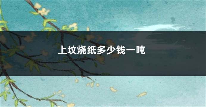 上坟烧纸多少钱一吨