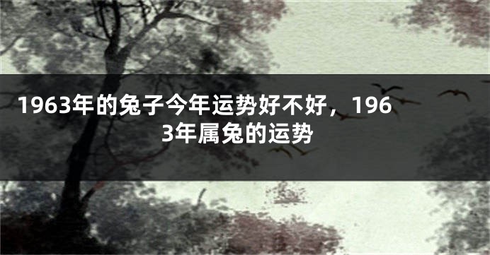 1963年的兔子今年运势好不好，1963年属兔的运势