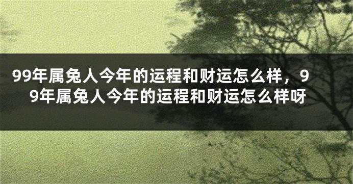 99年属兔人今年的运程和财运怎么样，99年属兔人今年的运程和财运怎么样呀