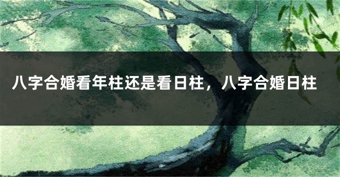八字合婚看年柱还是看日柱，八字合婚日柱