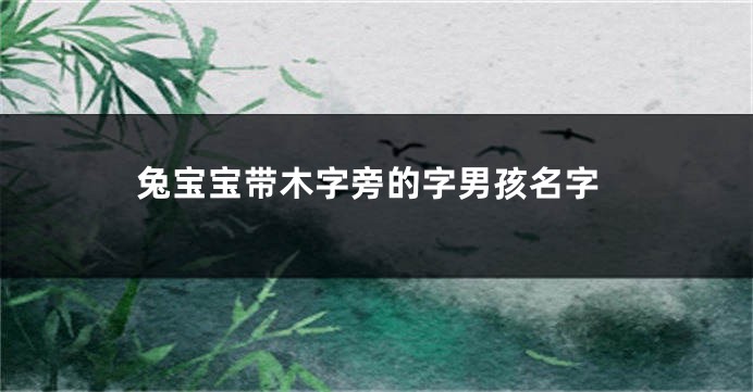 兔宝宝带木字旁的字男孩名字