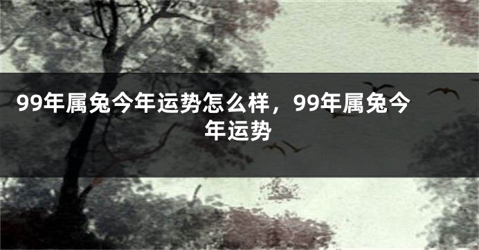 99年属兔今年运势怎么样，99年属兔今年运势