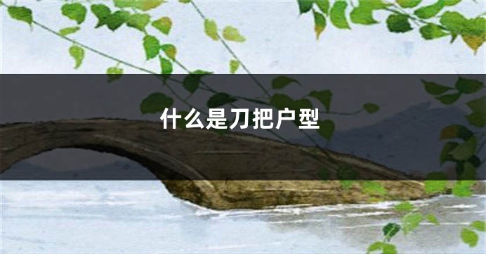 什么是刀把户型