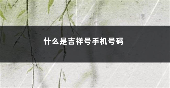 什么是吉祥号手机号码