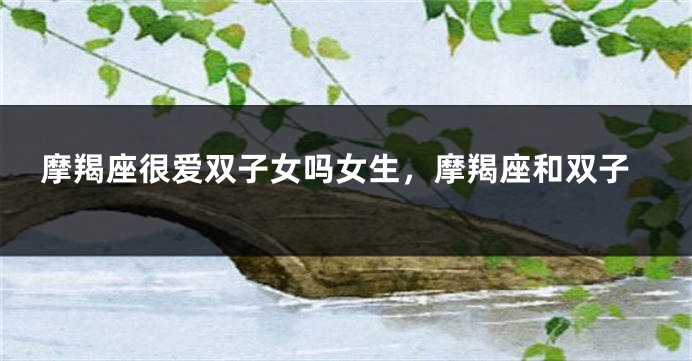 摩羯座很爱双子女吗女生,摩羯座和双子