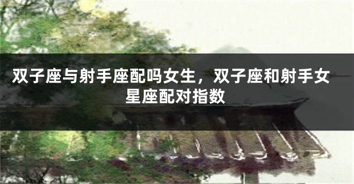 双子座与射手座配吗女生,双子座和射手女星座配对指数