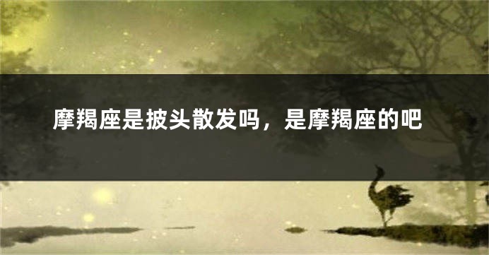 摩羯座是披头散发吗，是摩羯座的吧