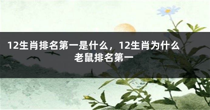 12生肖排名第一是什么，12生肖为什么老鼠排名第一