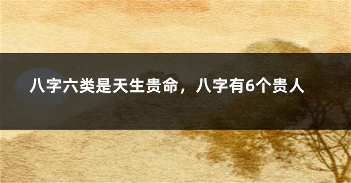 八字六类是天生贵命，八字有6个贵人