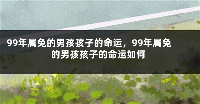 99年属兔的男孩孩子的命运，99年属兔的男孩孩子的命运如何