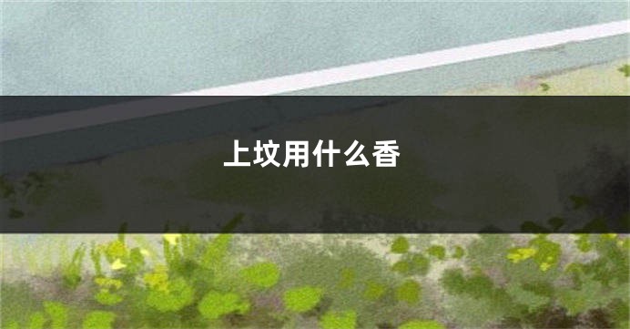 上坟用什么香