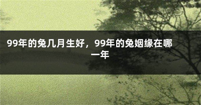 99年的兔几月生好，99年的兔姻缘在哪一年