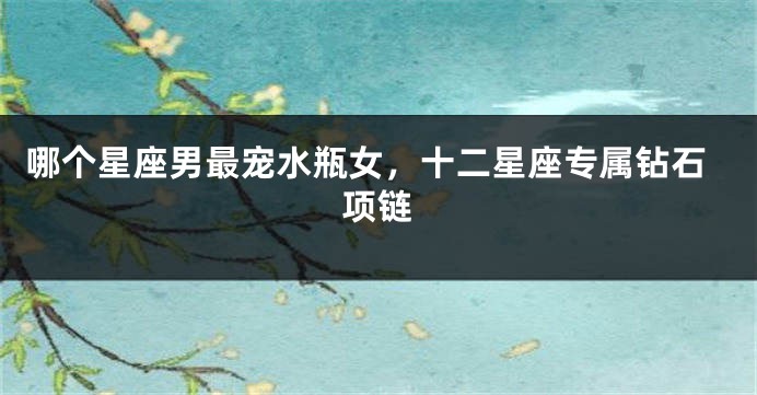 哪个星座男最宠水瓶女，十二星座专属钻石项链
