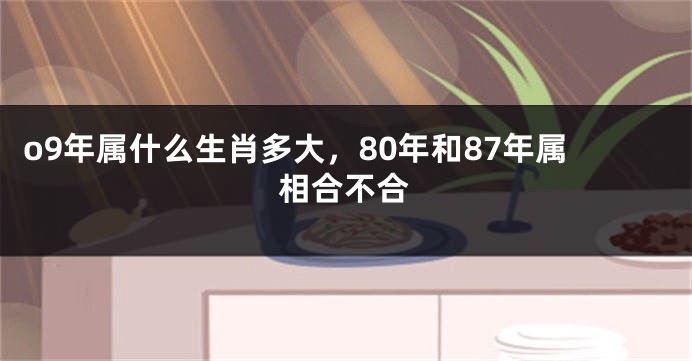 o9年属什么生肖多大，80年和87年属相合不合