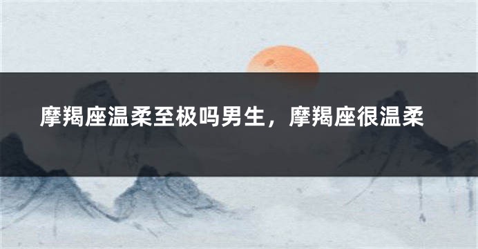 摩羯座温柔至极吗男生，摩羯座很温柔