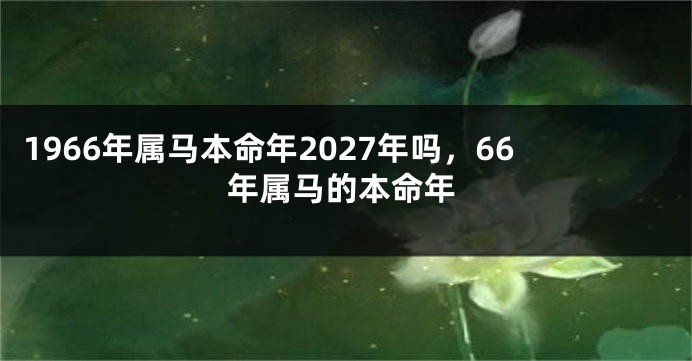 1966年属马本命年2027年吗，66年属马的本命年