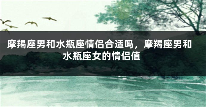 摩羯座男和水瓶座情侣合适吗，摩羯座男和水瓶座女的情侣值