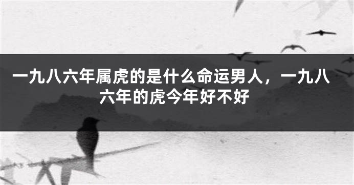 一九八六年属虎的是什么命运男人，一九八六年的虎今年好不好