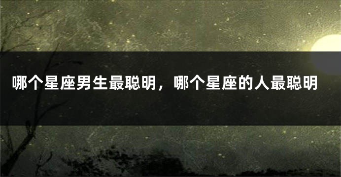 哪个星座男生最聪明，哪个星座的人最聪明