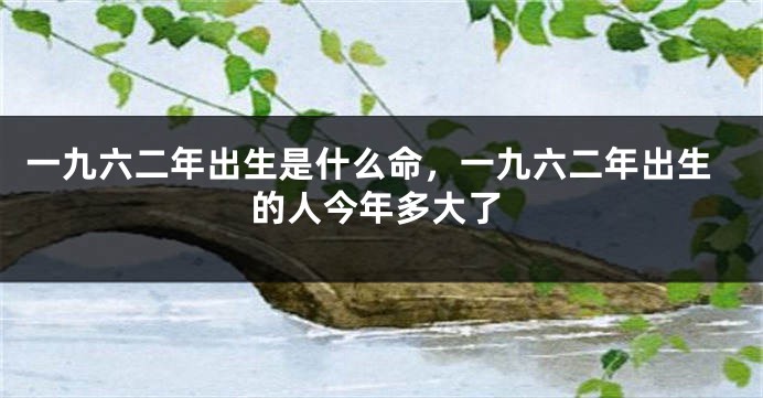 一九六二年出生是什么命,一九六二年出生的人今年多大了