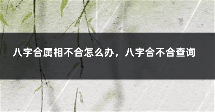 八字合属相不合怎么办，八字合不合查询