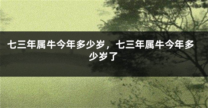 七三年属牛今年多少岁，七三年属牛今年多少岁了