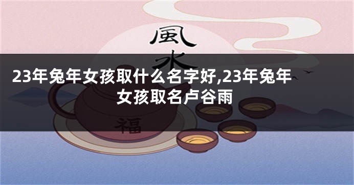 23年兔年女孩取什么名字好,23年兔年女孩取名卢谷雨