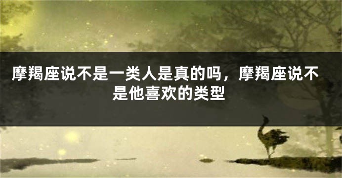 摩羯座说不是一类人是真的吗，摩羯座说不是他喜欢的类型