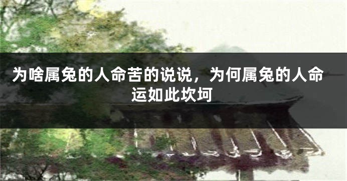 为啥属兔的人命苦的说说，为何属兔的人命运如此坎坷