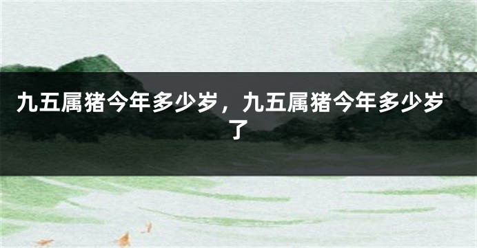 九五属猪今年多少岁，九五属猪今年多少岁了
