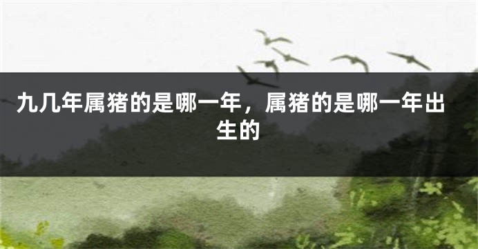 九几年属猪的是哪一年，属猪的是哪一年出生的