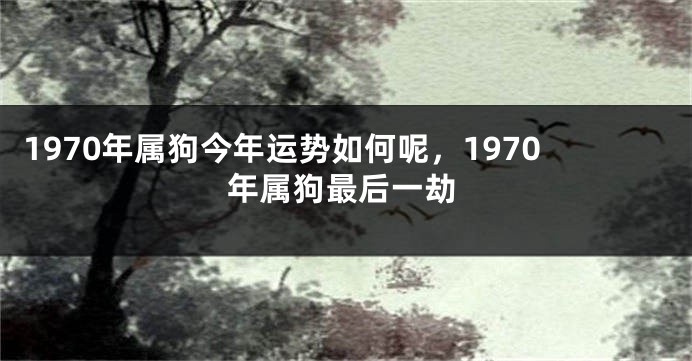 1970年属狗今年运势如何呢，1970年属狗最后一劫