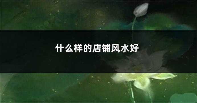 什么样的店铺风水好