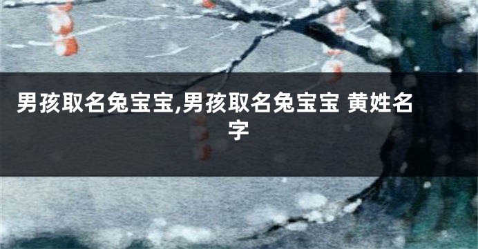 男孩取名兔宝宝,男孩取名兔宝宝 黄姓名字