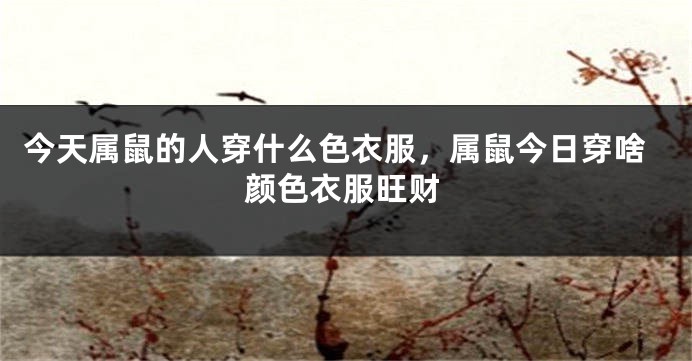 今天属鼠的人穿什么色衣服，属鼠今日穿啥颜色衣服旺财
